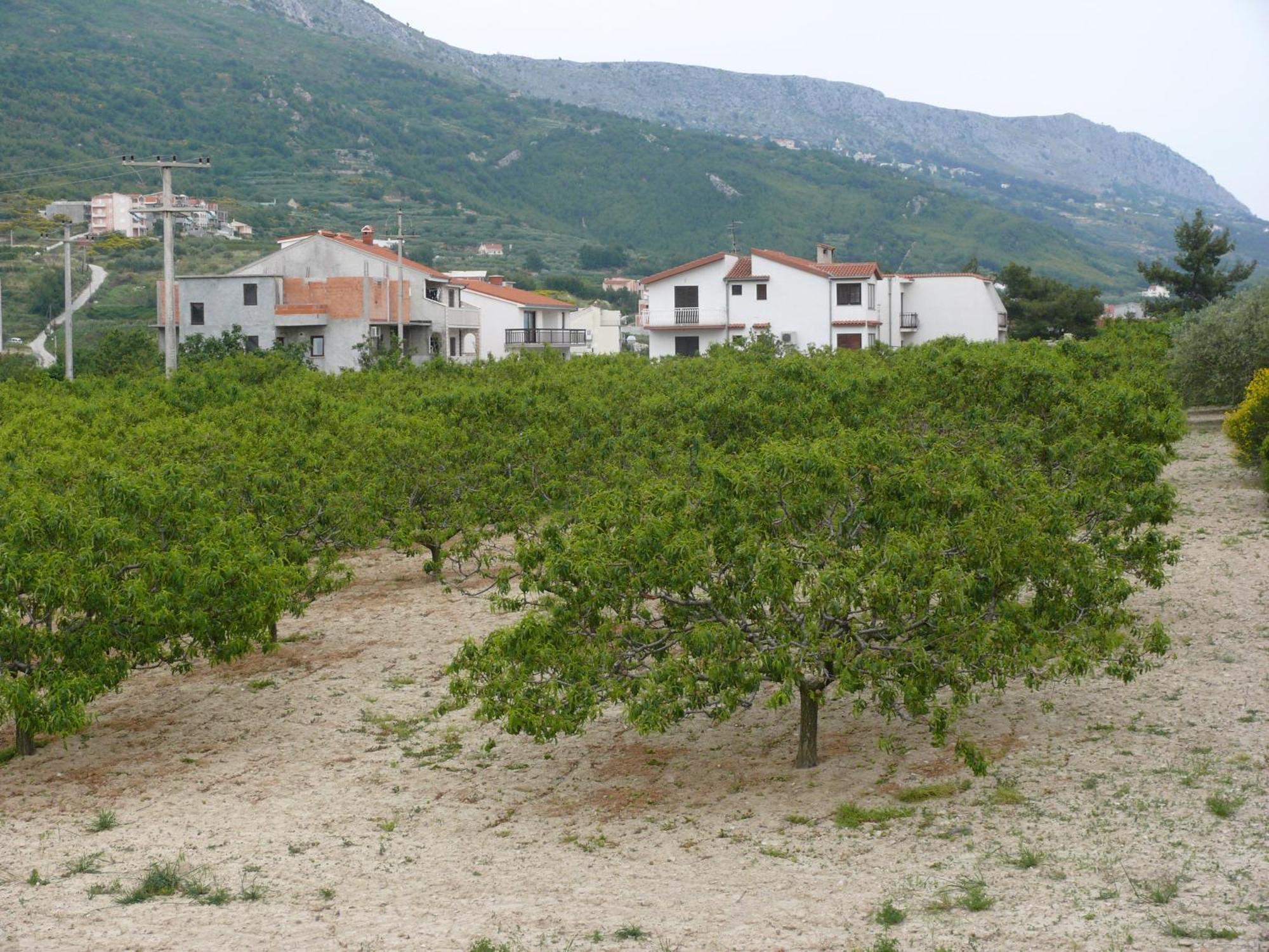 פודסטראנה Apartments And Rooms Stipe מראה חיצוני תמונה
